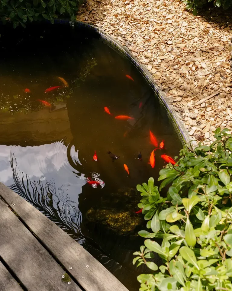 Omniia coworking jardin Bordeaux